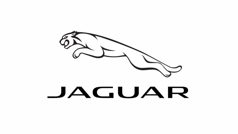 Jaguar_LeapYear_02 (1)